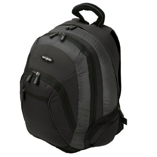 Samsonite A66 Wander Verb Notebook-Rucksack bis 39,1 cm (15,4 Zoll)