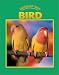 Caring for Your Bird (Caring for Your Pet series)