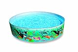 Color Reef Snapset Pool 6 Ft By 15 Inches