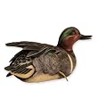 Spring Plumage Green-winged Teal Decoy
