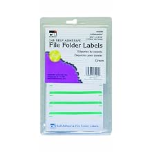 Charles Leonard Inc. File Folder Labels, 0.56 x 3.43 Inches, Green, 248/box (45225)