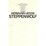 Steppenwolf book cover