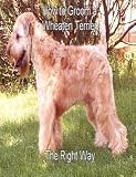 How to Groom a Soft Coated Wheaten Terrier the right way...... Yourself