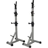 Valor Athletics Inc. Power Squats Stand Plus