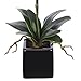 House of Silk Flowers Artificial 17-Inch Phalaenopsis Orchid, Mini, White