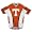 University of Tennessee Volunteers Cycling Jersey (L)