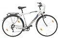 Texo 21000-0948237 Trekking Fahrrad 28 Zoll Alu Herren 21-Gang Shimano Kettenschaltung