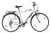 Texo 21000-0948237 Trekking Fahrrad 71,1 cm (28 Zoll) Alu Herren 21-Gang Shimano Kettenschaltung