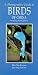 Books : A Photographic Guide to Birds of China Including Hong Kong (Photoguides)