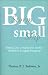 Search : Big Storm, Small Ship