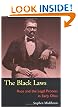 The Black Laws: Race and the Legal Process in Early Ohio (Law Society & Politics in the Midwest)
