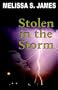 Stolen in the Storm