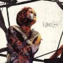 livEVIL(B-type)(DVD�t)