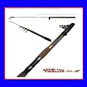 10FT ROD 30-60CW