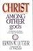Book Christ Among Other gods