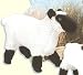 Stuffed Shropshire Sheep