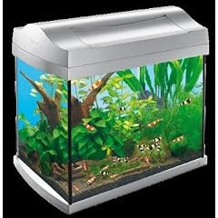 Tetra AquaArt Crayfish Aquarium-Komplett-Set 20L Shrimps