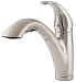 Tools & Hardware : Price Pfister 53470SS Parisa Single-Handle Kitchen Faucet with Pull-Down Spout Sprayer, Stainless Steel
