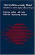 The Capability Maturity Model: Guidelines for Improving the Software Process (SEI Series in Software Engineering)