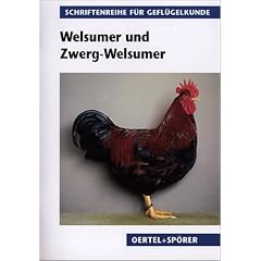 Welsumer und Zwerg-Welsumer