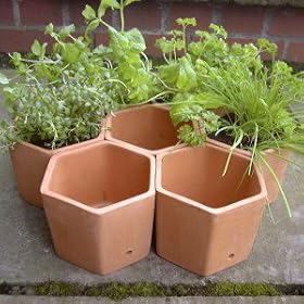 Terracotta hexagonal herb pots - set of 7