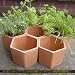 Image of Hexagonal herb pots set of 7
