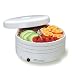 Nesco FD-1010 Gardenmaster 4 Tray Food Dehydrator (Fd1010)