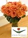 Women for Women Orange Roses