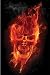 PP32125 Flaming Skull, Photoshop art, 61cm x 91.5cm maxi poster