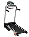 Lime Fitness E1.0 Folding Multimedia Treadmill