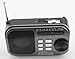 Anncia New Portable FM/AM/SW radio Speaker with Micro TF card and USB flash driver MP3 player. (1106 Grey)