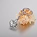 Valyria Memorial Pet/Dog Paw Keychain Always in My Heart Pet Urn Keepsake Charm Ashes Keyring
