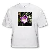 Crocus - Toddler T-Shirt (4T)