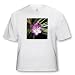 Crocus - Toddler T-Shirt (4T)