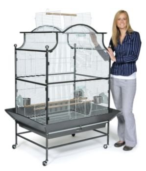 Prevue Pet Products Pagoda Parrot Cage 3140 Black and Pewter 36-Inch by 27-1/2-Inch by 61-Inch