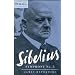 Sibelius: Symphony No. 5 (Cambridge Music Handbooks)