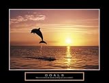 Goals Dolphin Motivational Poster Inspirational Art Print Jumping Dolphins