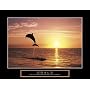 Dolphin Motivational Poster Sunset Inspirational Art Print