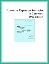 Executive Report on Strategies in Comoros, 2000 edition (Strategic Planning Series)