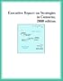 Executive Report on Strategies in Comoros, 2000 edition (Strategic Planning Series)