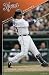 Detroit Tigers (Magglio Ordonez) Gold Wood-Mounted Sports Poster Print - 24