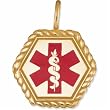 14K Yellow Gold Red Enamel Medical ID Charm Pendant