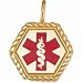 14K Yellow Gold Red Enamel Medical ID Charm Pendant
