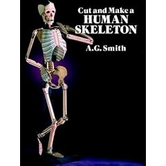 Cut and Make a Human Skeleton