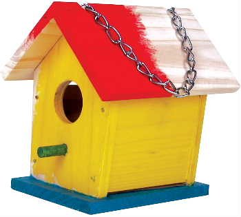 Childrens Toyshop  Outdoor Living : Build a Bird House Kit