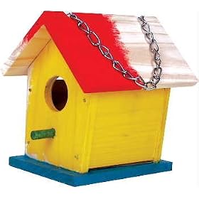 Build a Bird House Kit