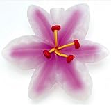 Beautiful Pink & White Lily Flower Party String Lights