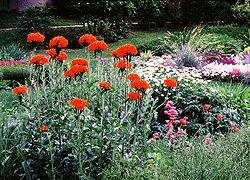 image link - - B000S8JU1E
