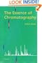 The Essence of Chromatography