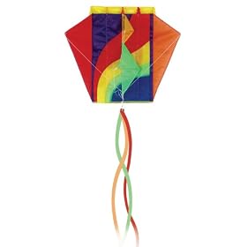 Go Fly A Kite Light Pocket Parafoil Kite by Fly